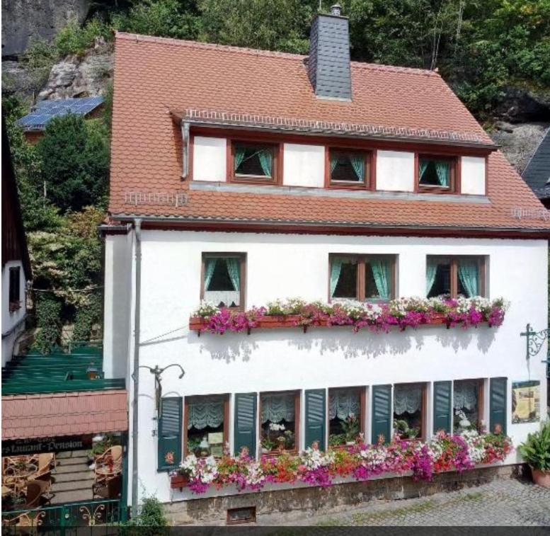 Pension Fuhrmann's Elb- Café Bad Schandau Extérieur photo